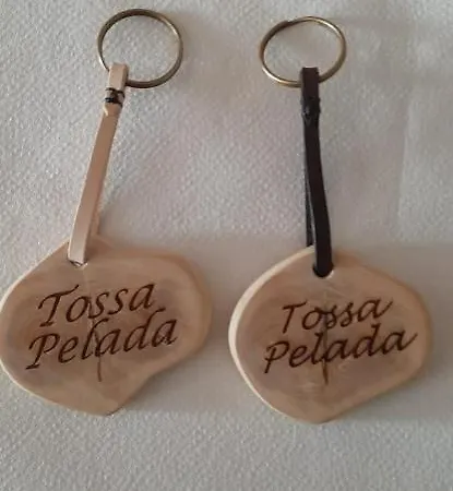Camping Tossa Pelada I Mobil Rodell